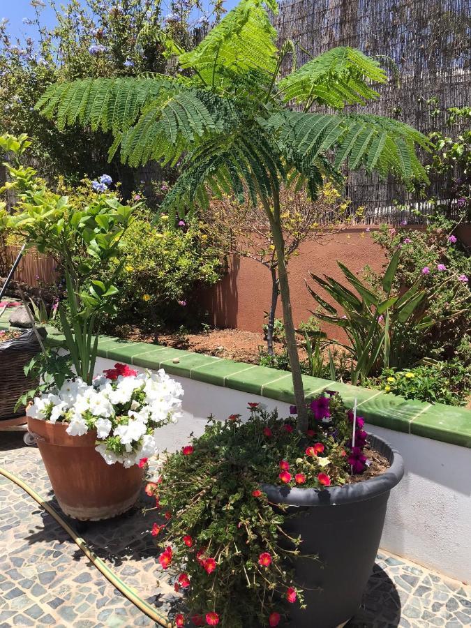 Apartamento Con Encanto En La Playa Frente Al Mar "Posada Rent House" Puerto del Rosario  Exteriör bild